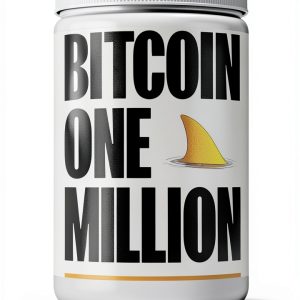 Bitcoin Million eBook – 345 Page Economics Guide by Big Bitcoin Book-0
